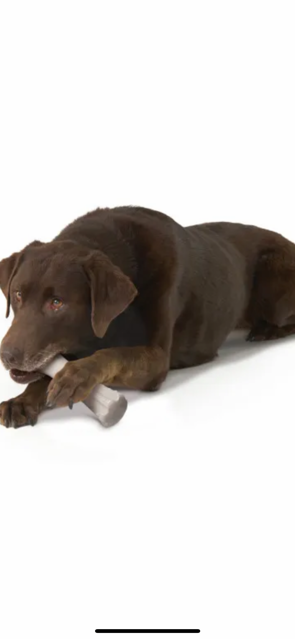 Hero Bonetics Femur Bones Large Beef & Wood