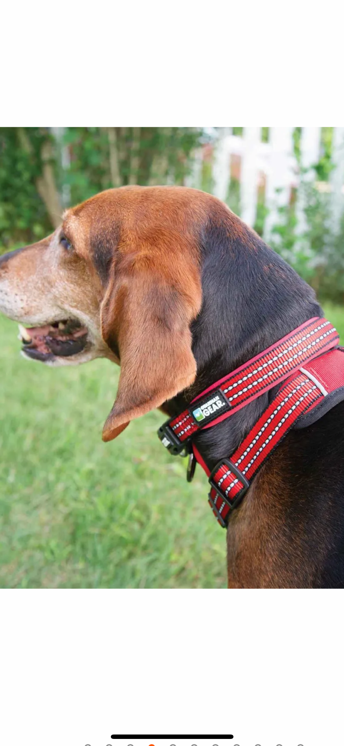 Guardian gear hotsell martingale dog collar