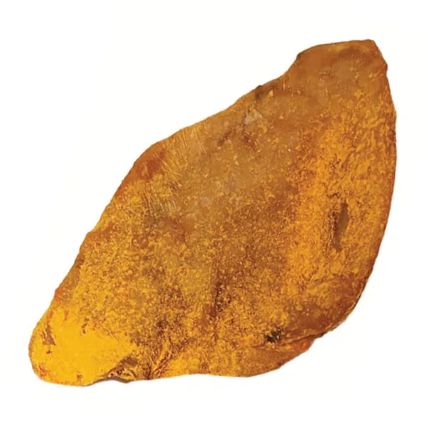 Scoochie Pet Bacon Cheddar Loaded Pig Ear 1pk
