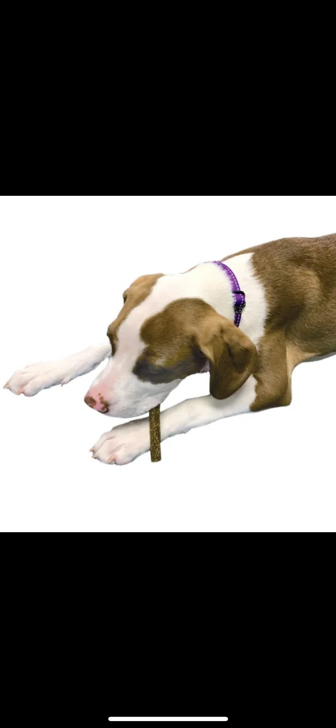 Dog Treat Naturals Superfood Sticks