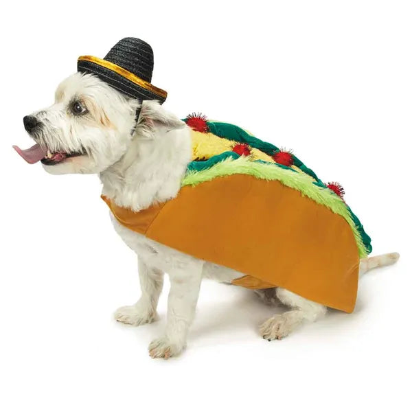 Casual Canine Tasty Taco & Sombrero Costume