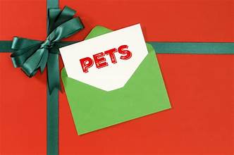 Pettoysupercenter Gift Card