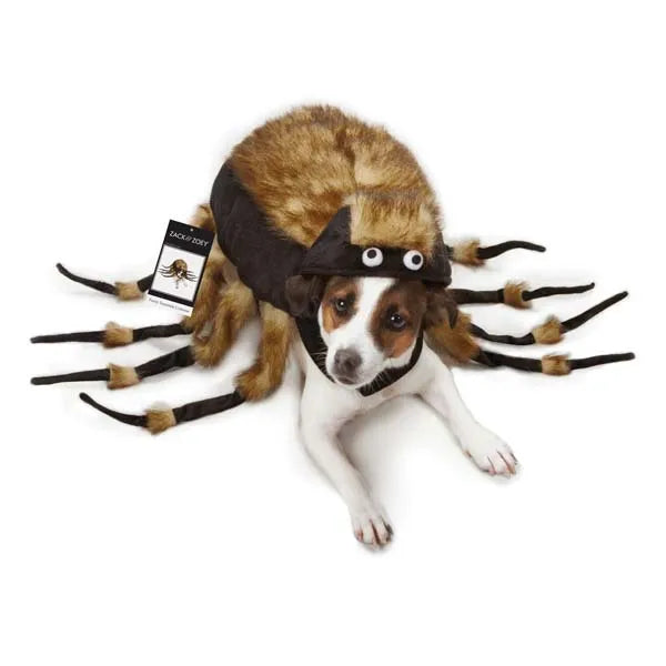 Zack & Zoey Fuzzy Tarantula Costumes