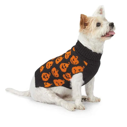 Zack & Zoey Jack O' Pumpkin Sweater