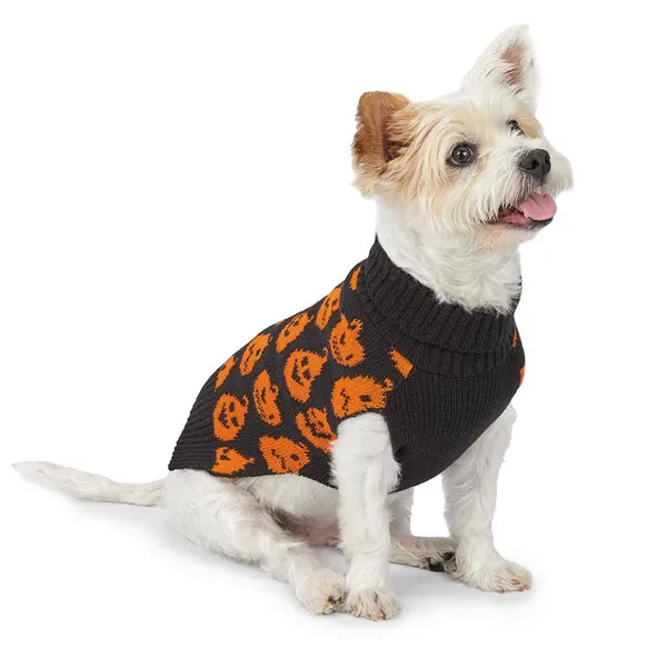 Zack & Zoey Jack O' Pumpkin Sweater