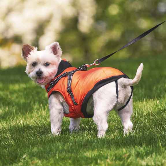 Guardian Gear Polar Excursion Harness Coats