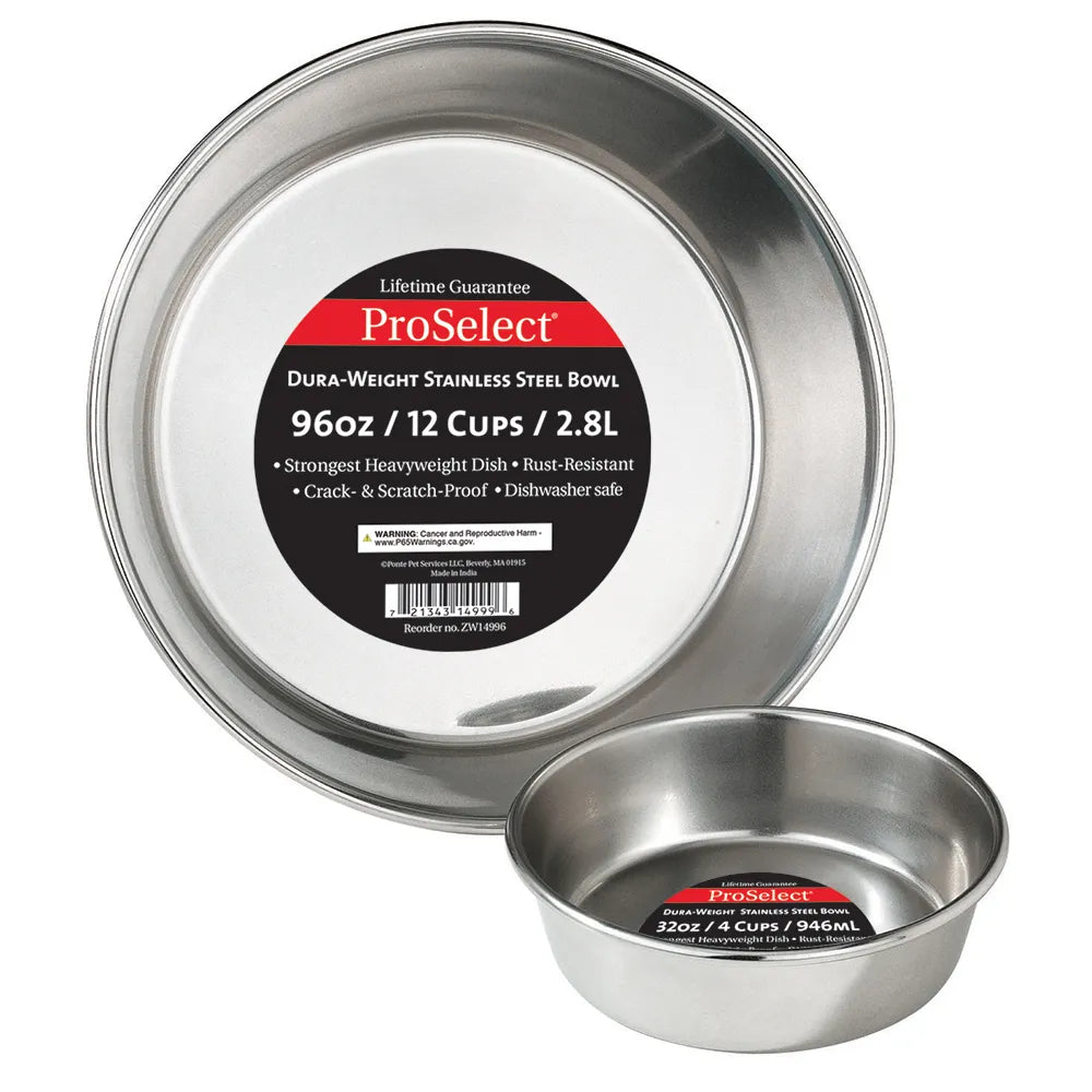 ProSelect Dura Weight Stainless Steel Dishes