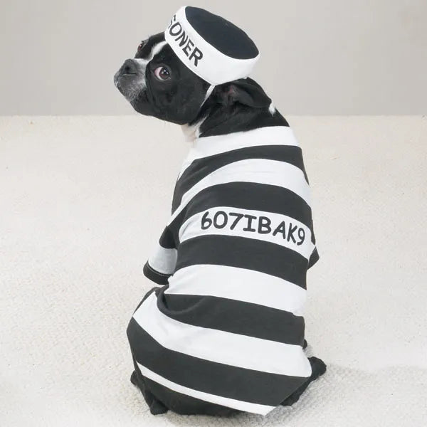 Casual Canine Prison Pooch Costumes