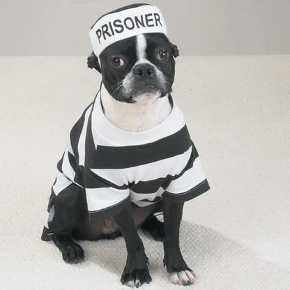 Casual Canine Prison Pooch Costumes