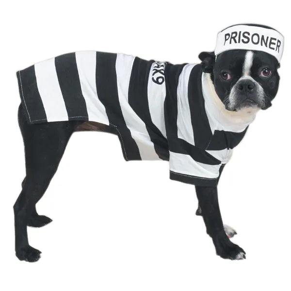 Casual Canine Prison Pooch Costumes