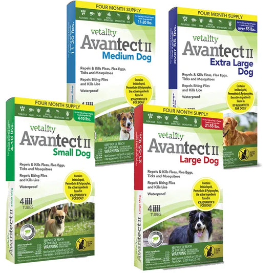 Vetality Avantect II Spot On For Dogs 4 Count